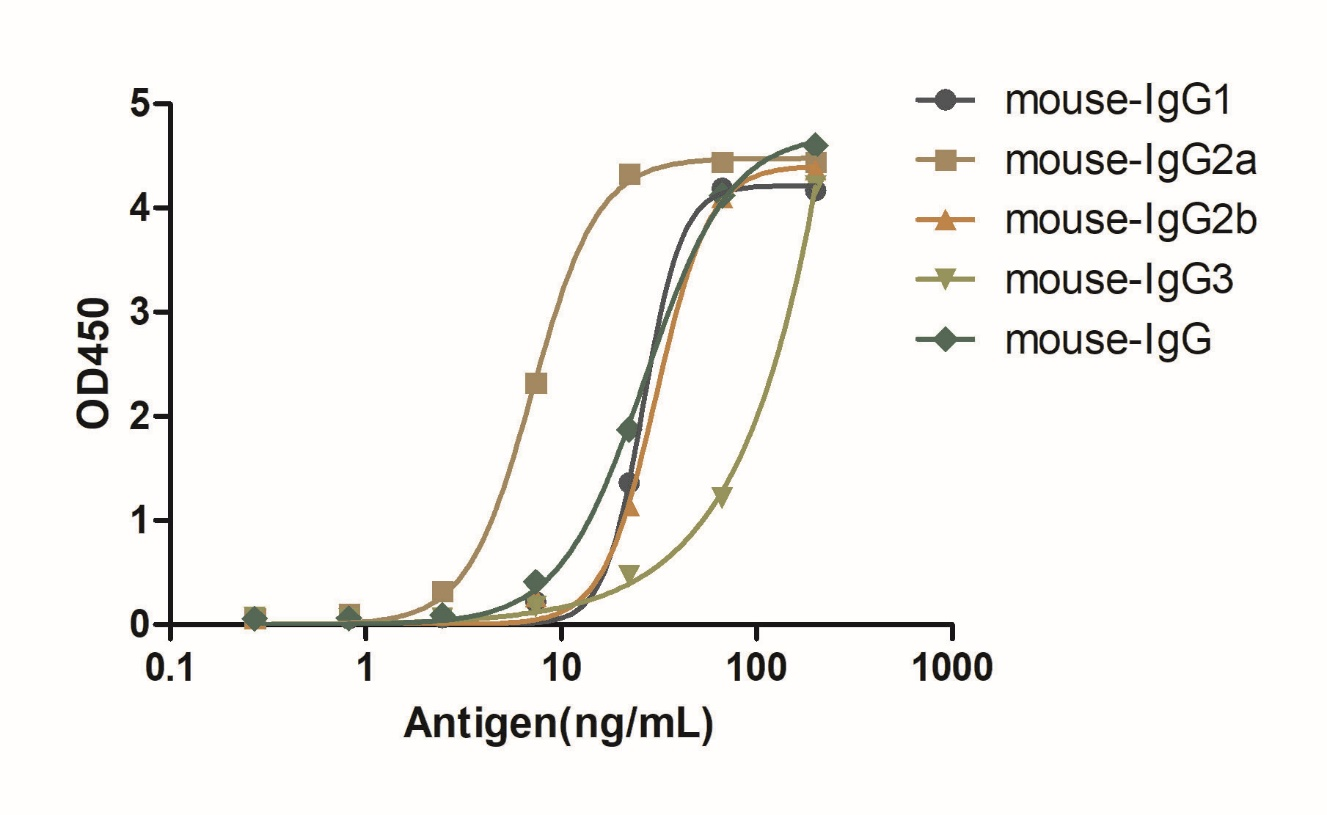 A titer ELISA of mouse IgG-Anti-mouse IgG(Fcγ Fragment specific), AlpSdAbs® VHH (Biotin)  