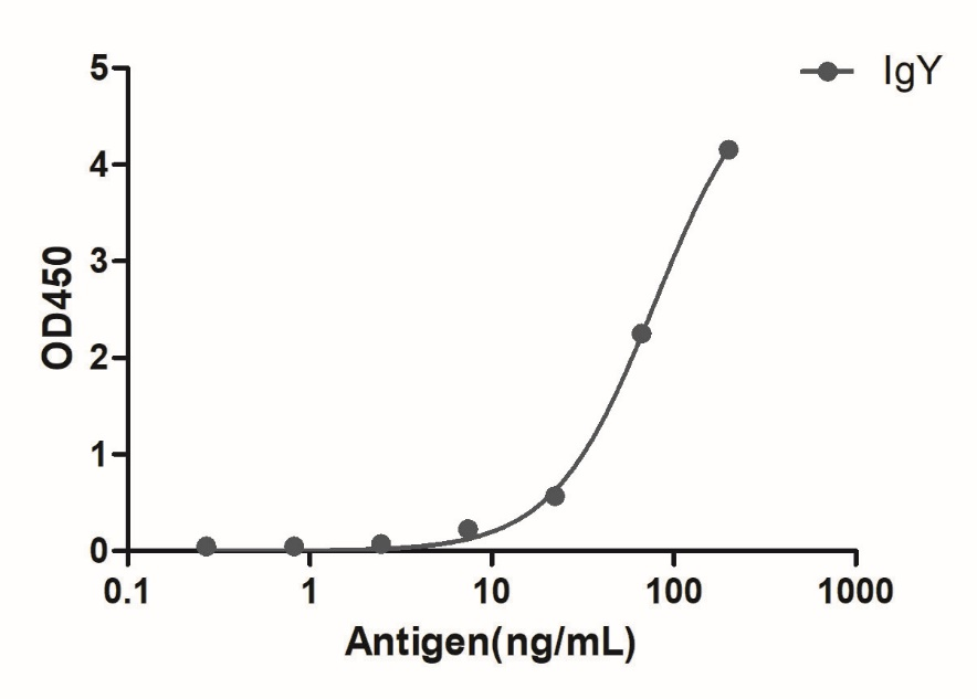 ELISA of specificity for different species of IgG-Anti-Chicken IgY, AlpSdAbs® VHH (Biotin)  