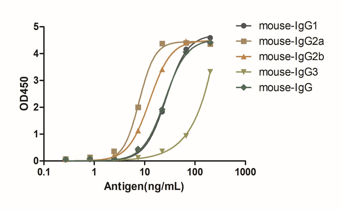 A titer ELISA of mouse IgG-Anti-Mouse IgG(Fcγ fragment specific), AlpSdAbs® VHH(HRP) 