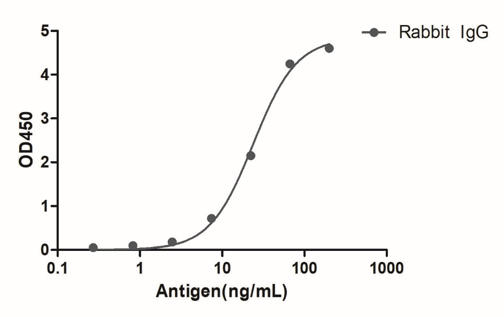 A titer ELISA of Rabbit IgG-Anti-Rabbit IgG(Fcγ Fragment specific), AlpHcAbs® Goat antibody(Biotin)  