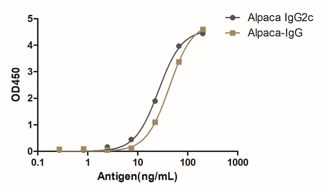 A titer ELISA of alpaca IgG2c-Anti-Alpaca IgG2c, AlpHcAbs® Rabbit antibody (Biotin)  