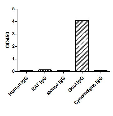 ELISA of specificity for different species of IgG-Anti-Goat IgG(Fcγ Fragment specific), AlpHcAbs® Rabbit antibody 