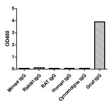 ELISA of specificity for different species of IgG-Anti-Goat IgG(Fcγ Fragment specific), AlpHcAbs® Rabbit antibody(Biotin)  