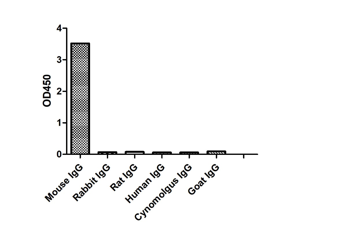 ELISA of specificity for different species of IgG-Anti-Mouse IgG2a(Fcγ Fragment specific), AlpSdAbs® VHH  