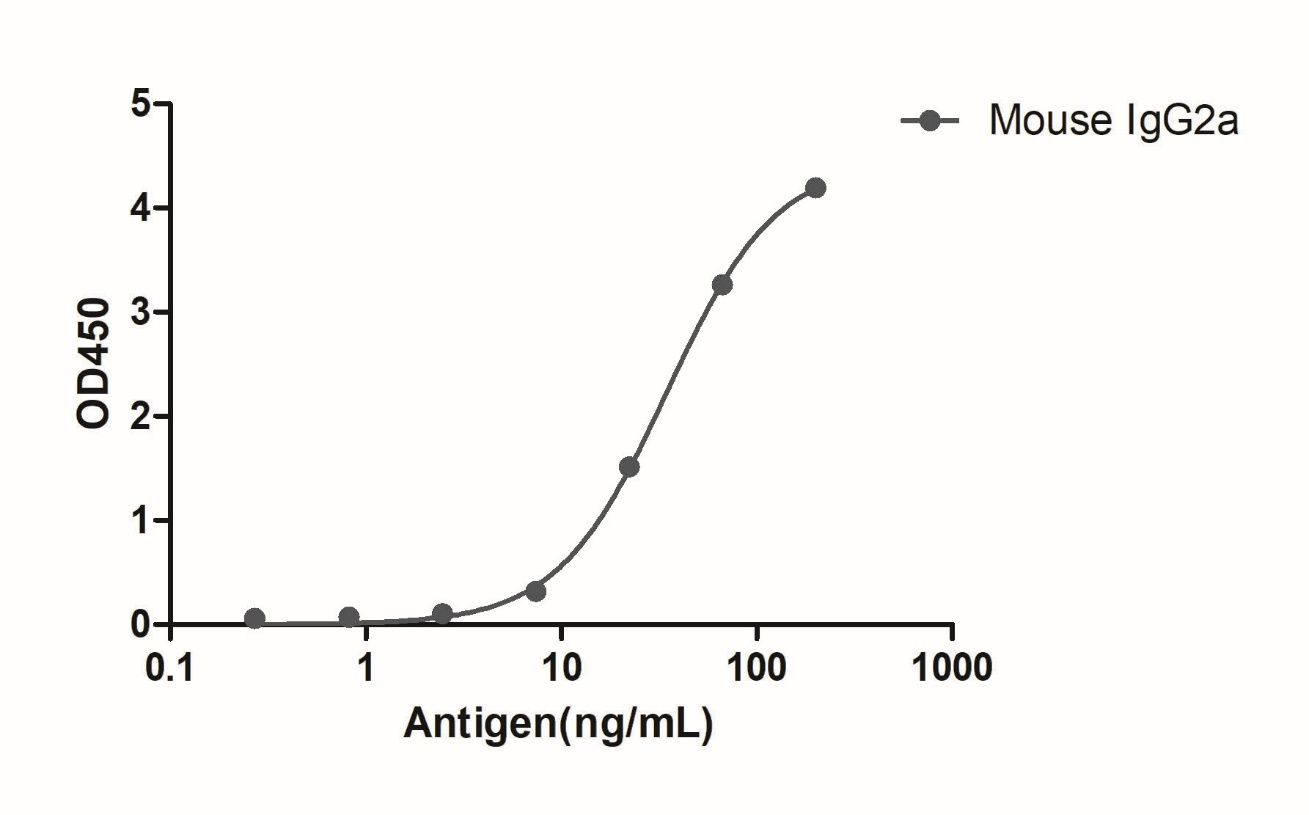 A titer ELISA of mouse IgG2a-Anti-Mouse IgG2a(Fcγ Fragment specific), AlpSdAbs® VHH (Biotin)  