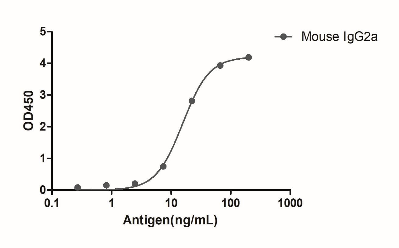 A titer ELISA of mouse IgG2a-Anti-Mouse IgG2a(Fcγ fragment specific), AlpSdAbs® VHH(HRP) 