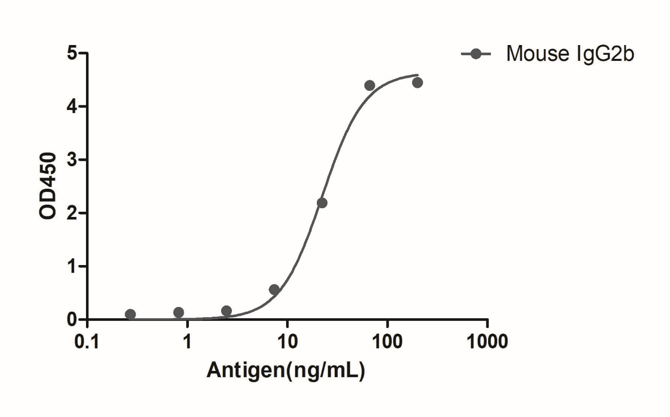 A titer ELISA of mouse IgG2b-Anti-Mouse IgG2b(Fcγ Fragment specific), AlpSdAbs® VHH  