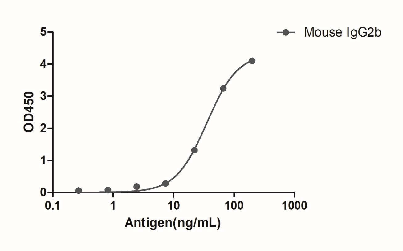 A titer ELISA of mouse IgG2b-Anti-Mouse IgG2b(Fcγ Fragment specific), AlpSdAbs® VHH (Biotin)  