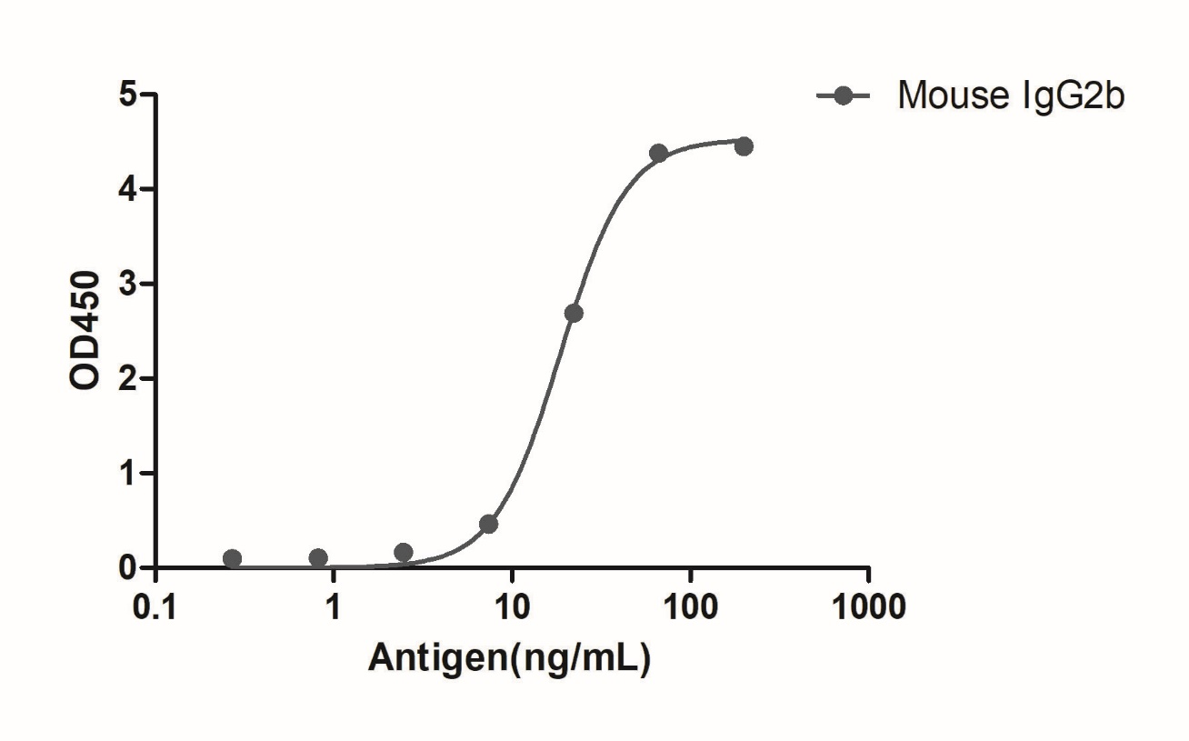 A titer ELISA of mouse IgG2b-Anti-Mouse IgG2b(Fcγ fragment specific), AlpSdAbs® VHH(HRP) 