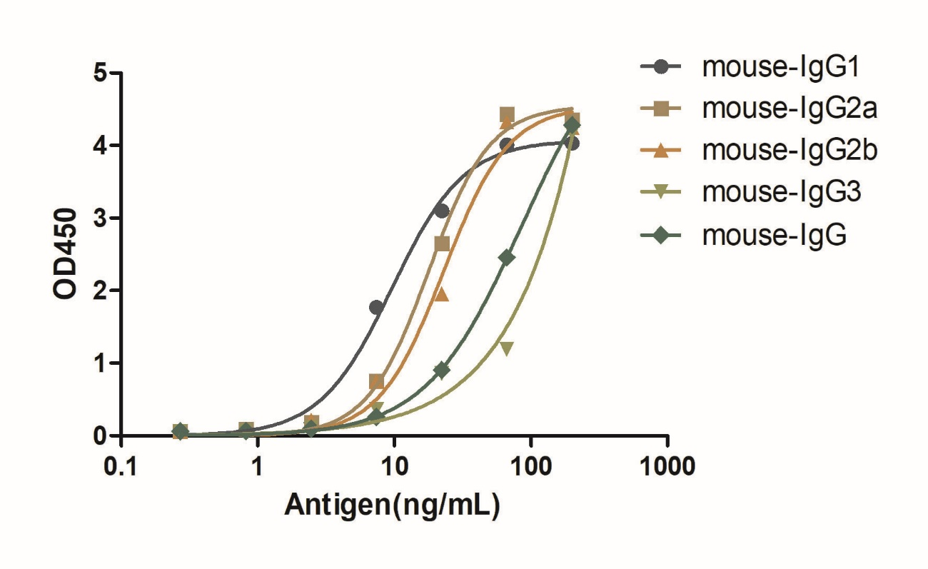 A titer ELISA of mouse IgG-Anti-Mouse IgG kappa, AlpSdAbs® VHH(Biotin)  