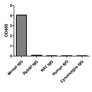 ELISA of specificity for different species of IgG-Anti-Mouse IgG(H+L), AlpHcAbs® Goat antibody  