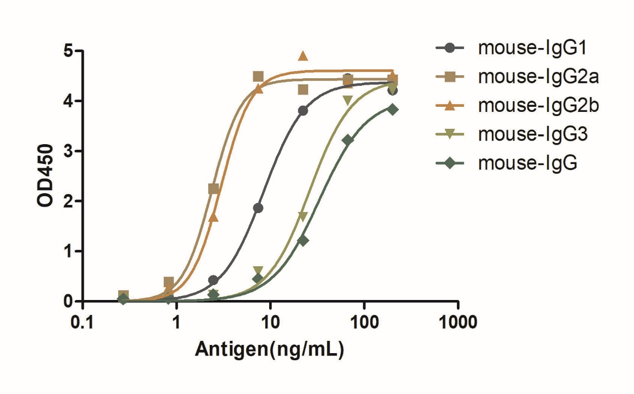 A titer ELISA of mouse IgG-Anti-Mouse IgG(H+L), AlpHcAbs® Goat antibody(HRP) 