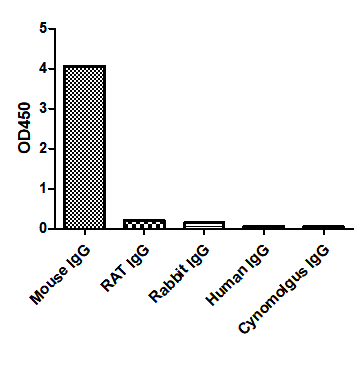 ELISA of specificity for different species of IgG-Anti-Mouse IgG(Fcγ Fragment specific), AlpHcAbs® Goat antibody  
