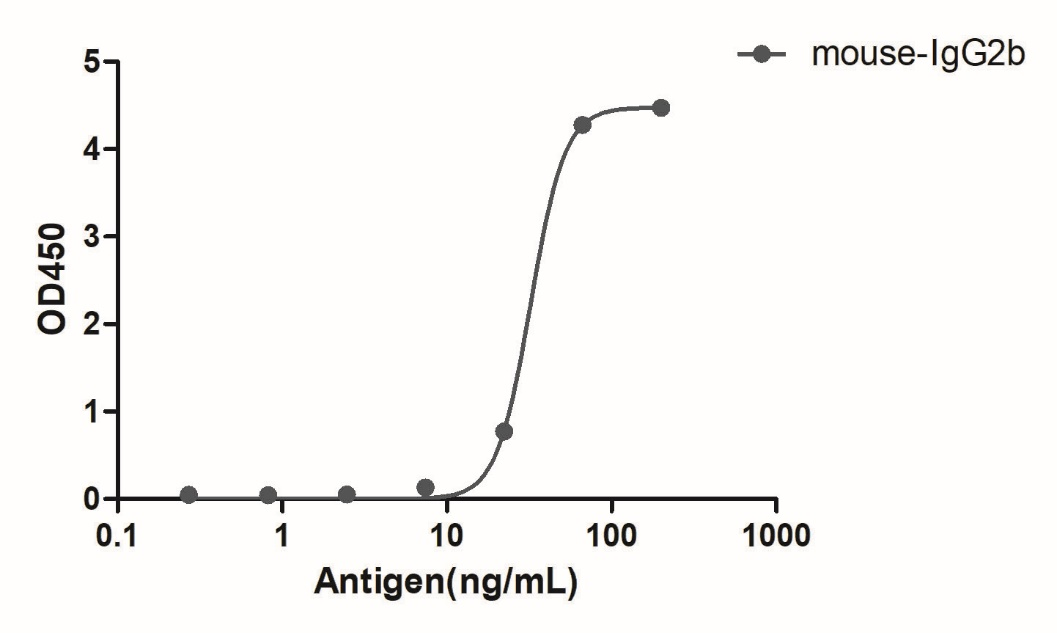 A titer ELISA of mouse IgG2b-Anti-Mouse IgG2b(Fcγ Fragment specific), AlpHcAbs® Goat antibody(Biotin)  