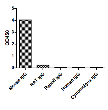 ELISA of specificity for different species of IgG-Anti-Mouse IgG kappa, AlpHcAbs® Goat antibody  