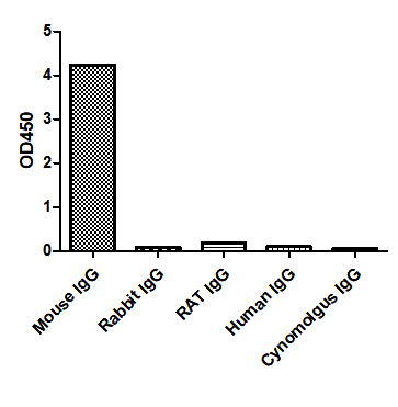 ELISA of specificity for different species of IgG-Anti-Mouse IgG1(Fcγ Fragment specific), AlpHcAbs® Goat antibody(Biotin)  