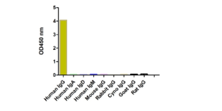 A titer ELISA of different IgG or domain-Anti-Human IgG-Fc PK, AlpHcAbs® Mouse antibody