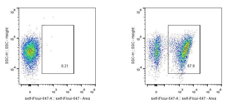 Flow cytometry experiment of Transfected HEK-293T using Anti-GGGGS Linker, AlpHcAbs® Rabbit antibody