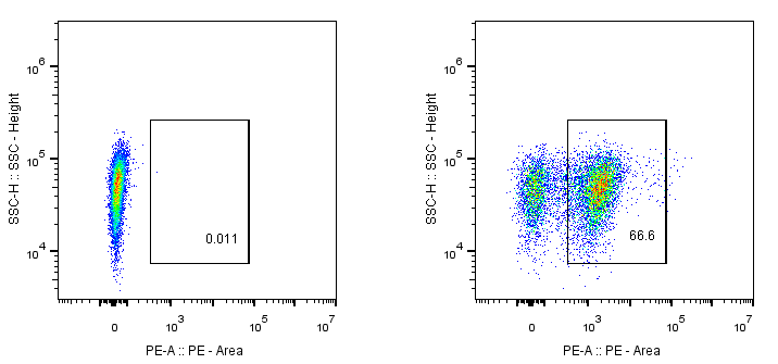 Flow cytometry experiment of Transfected HEK-293T using Anti-GGGGS Linker, AlpHcAbs® Rabbit antibody(PE)