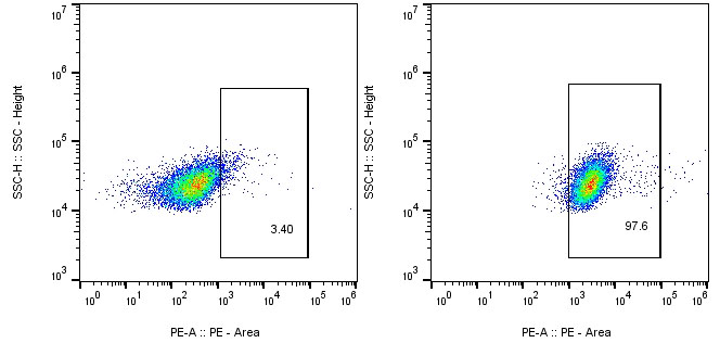 CAR-Jurkat Assay-Anti-GGGGS Linker, AlpHcAbs® Rabbit antibody(PE)