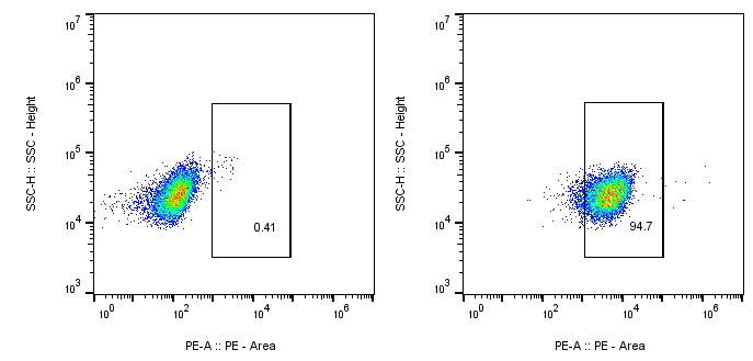 CAR-Jurkat Assay-Anti-Humanized VHH, AlpHcAbs® Rabbit antibody(PE)