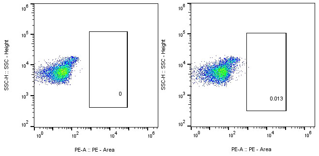 PBMC Cells Staining-Human BCMA-PE CAR TEST Kit