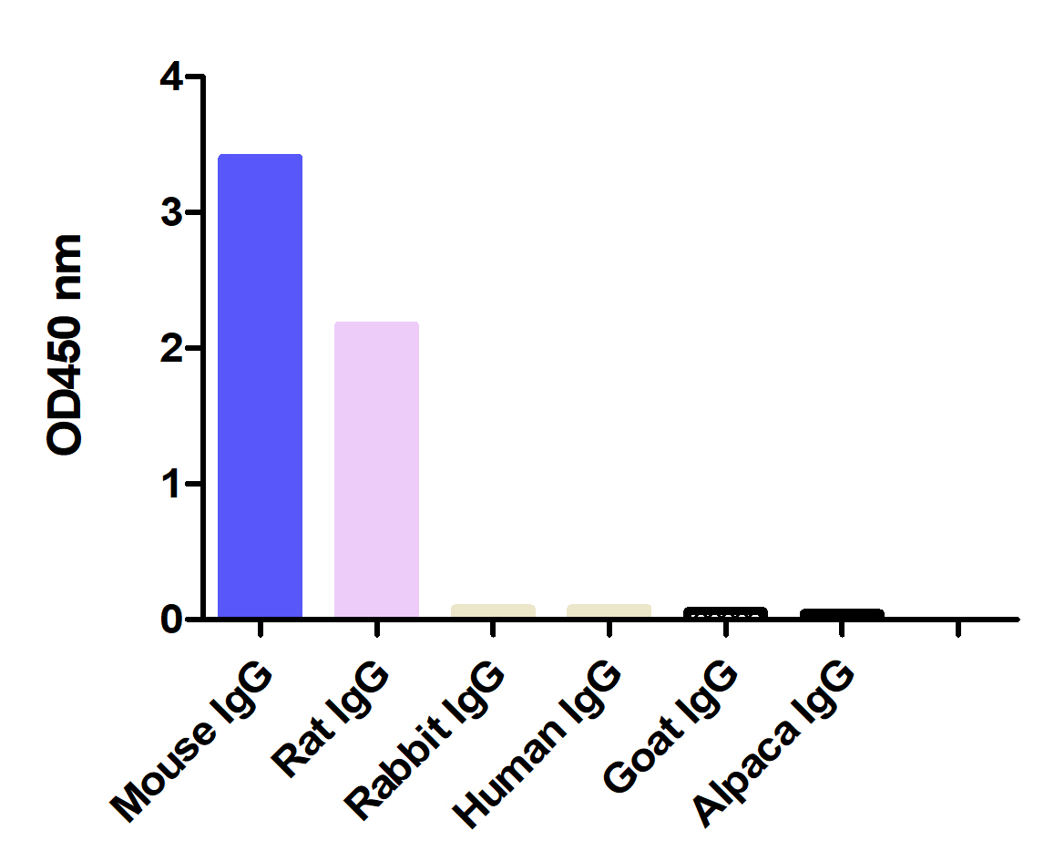 ELISA of specificity for different species 